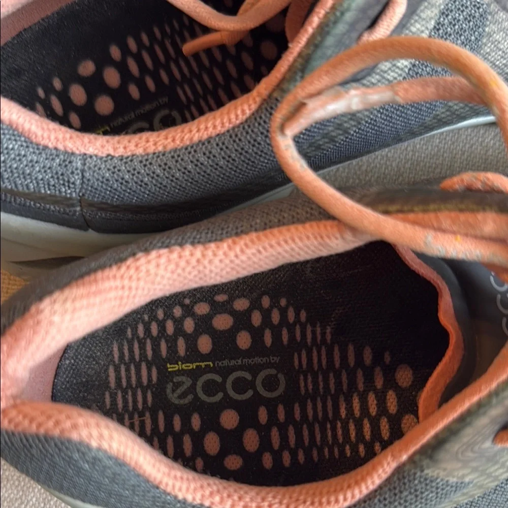 Ecco step into